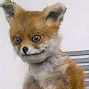 Meet your Posher, Veronica